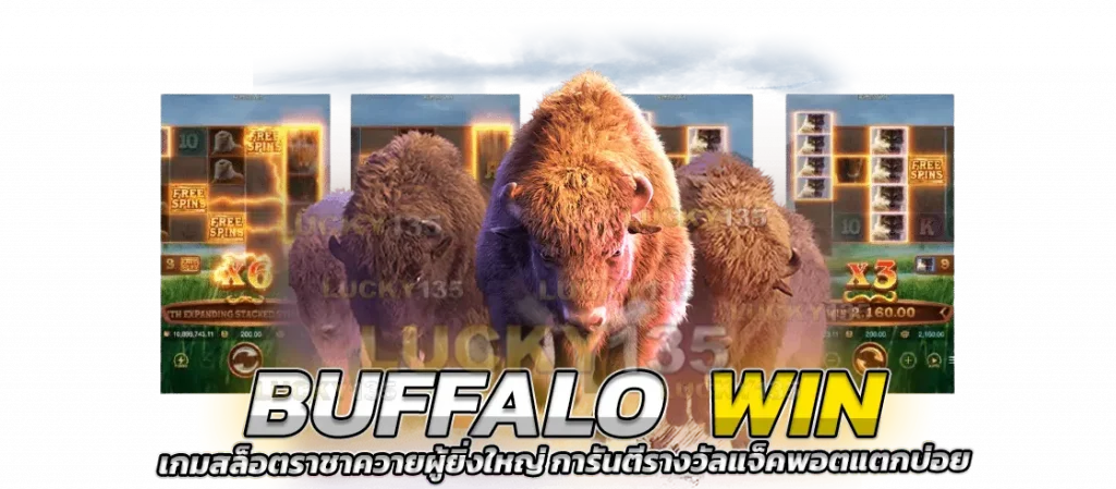 Buffalo win เกมสล็อตราชาควายผู้ยิ่งใหญ่